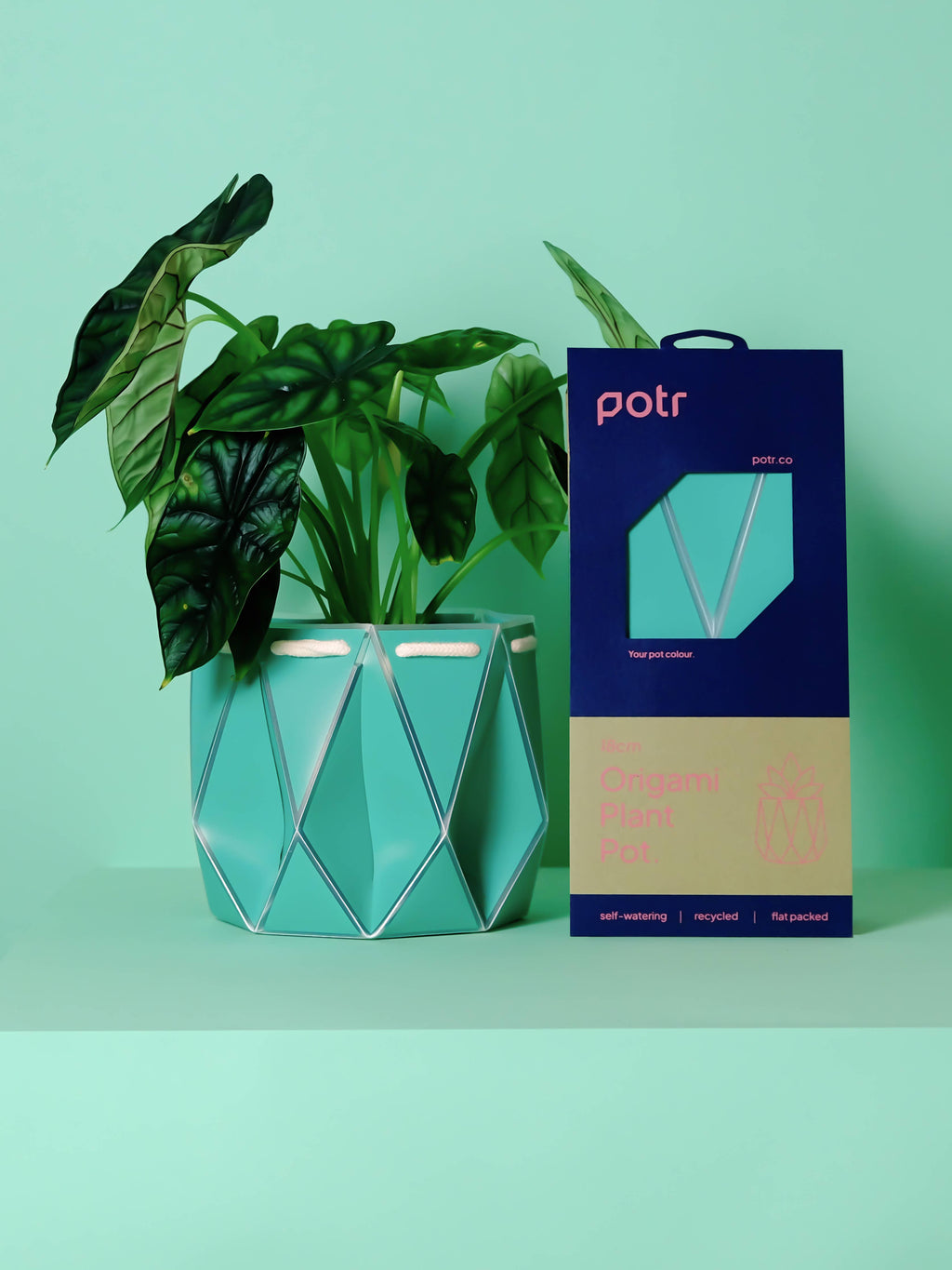 18cm Self-Watering POTR | Aqua Blue