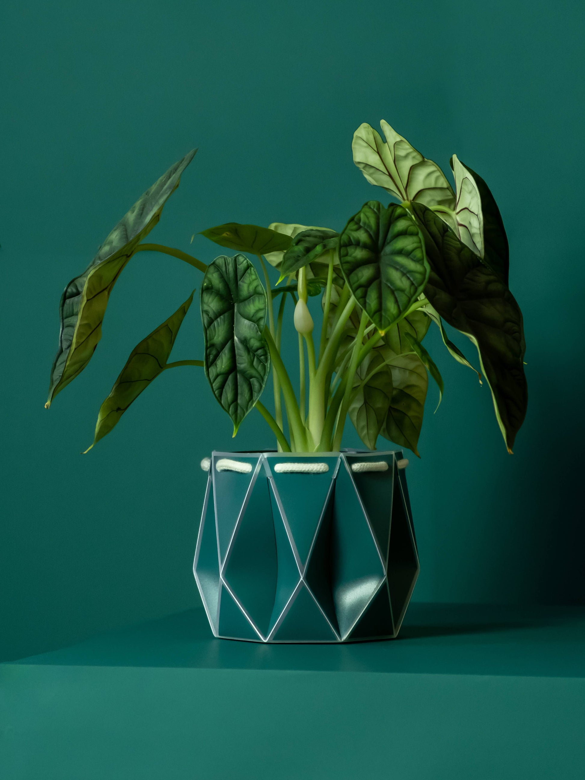 15cm Self-Watering POTR | Dark Teal
