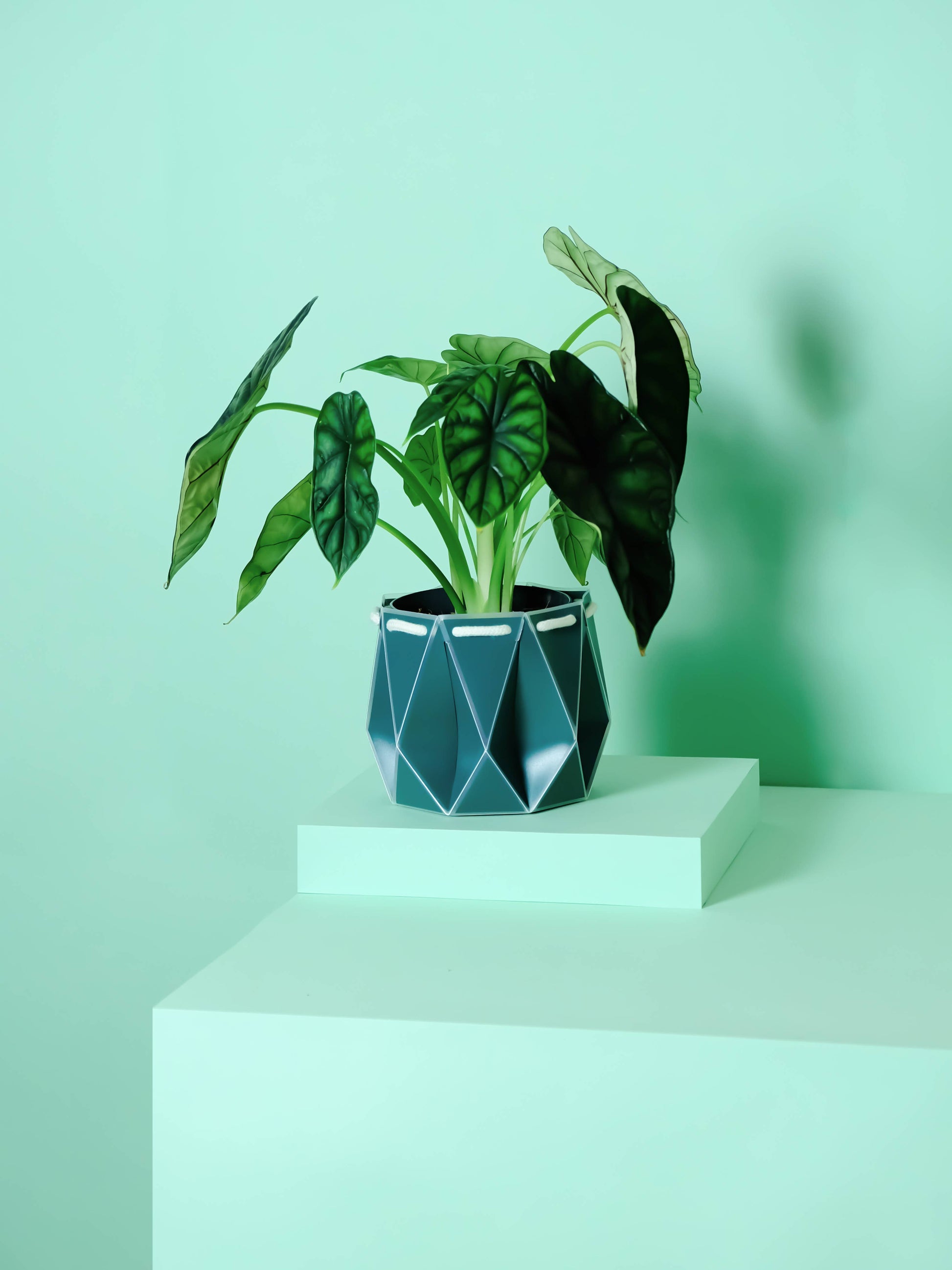 15cm Self-Watering POTR | Dark Teal