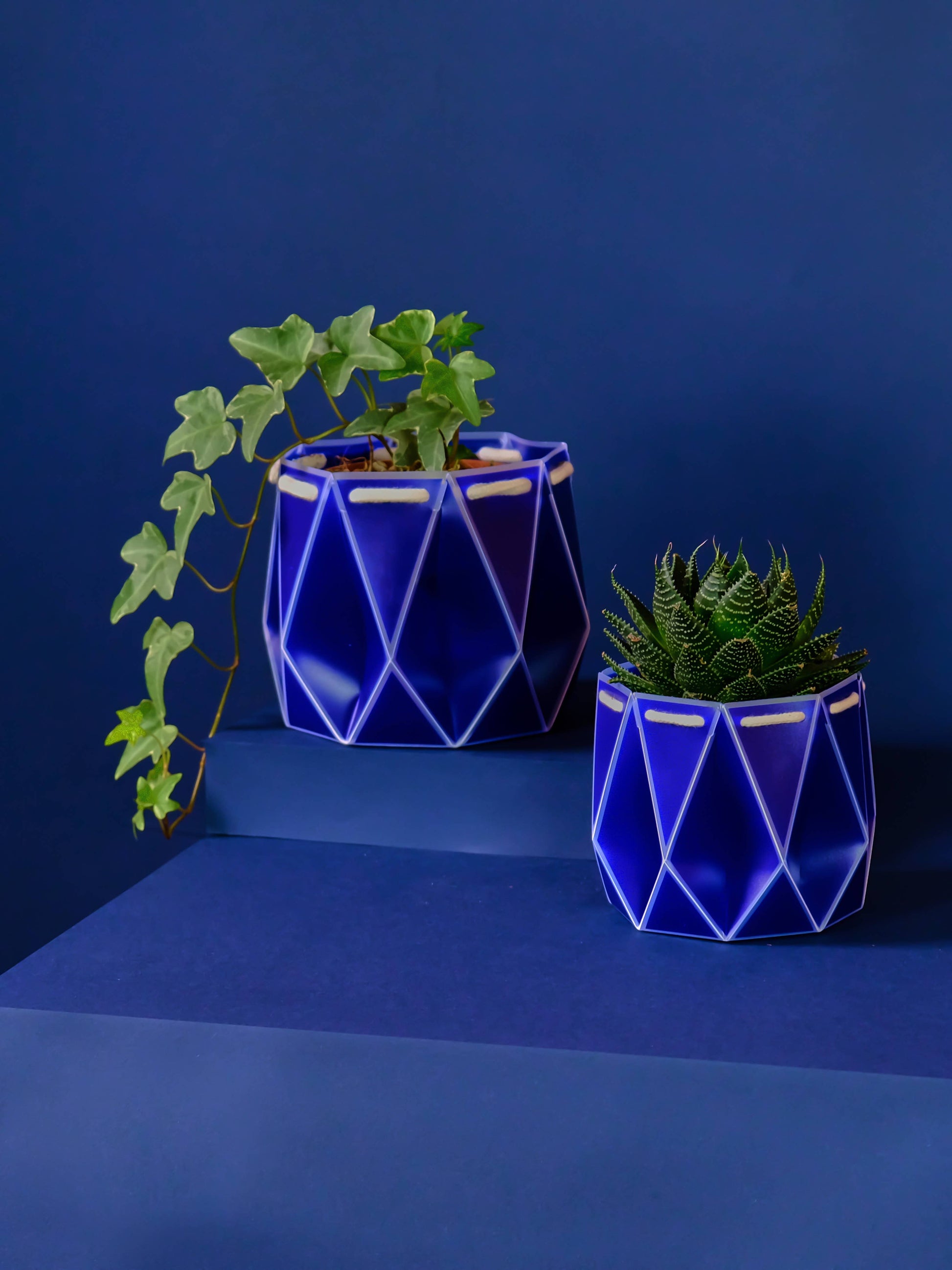 15cm Self-Watering POTR | Navy Pot