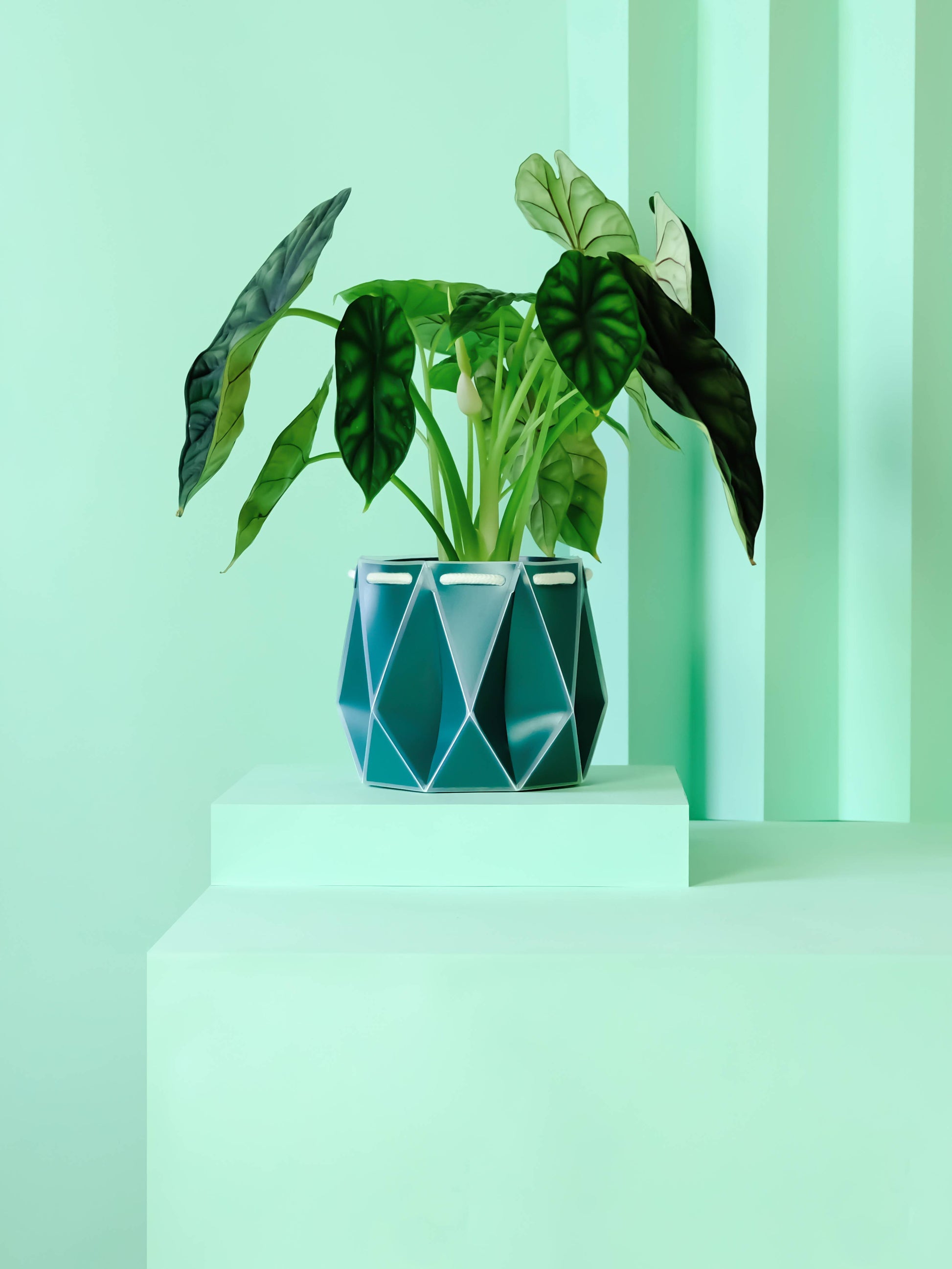 15cm Self-Watering POTR | Dark Teal