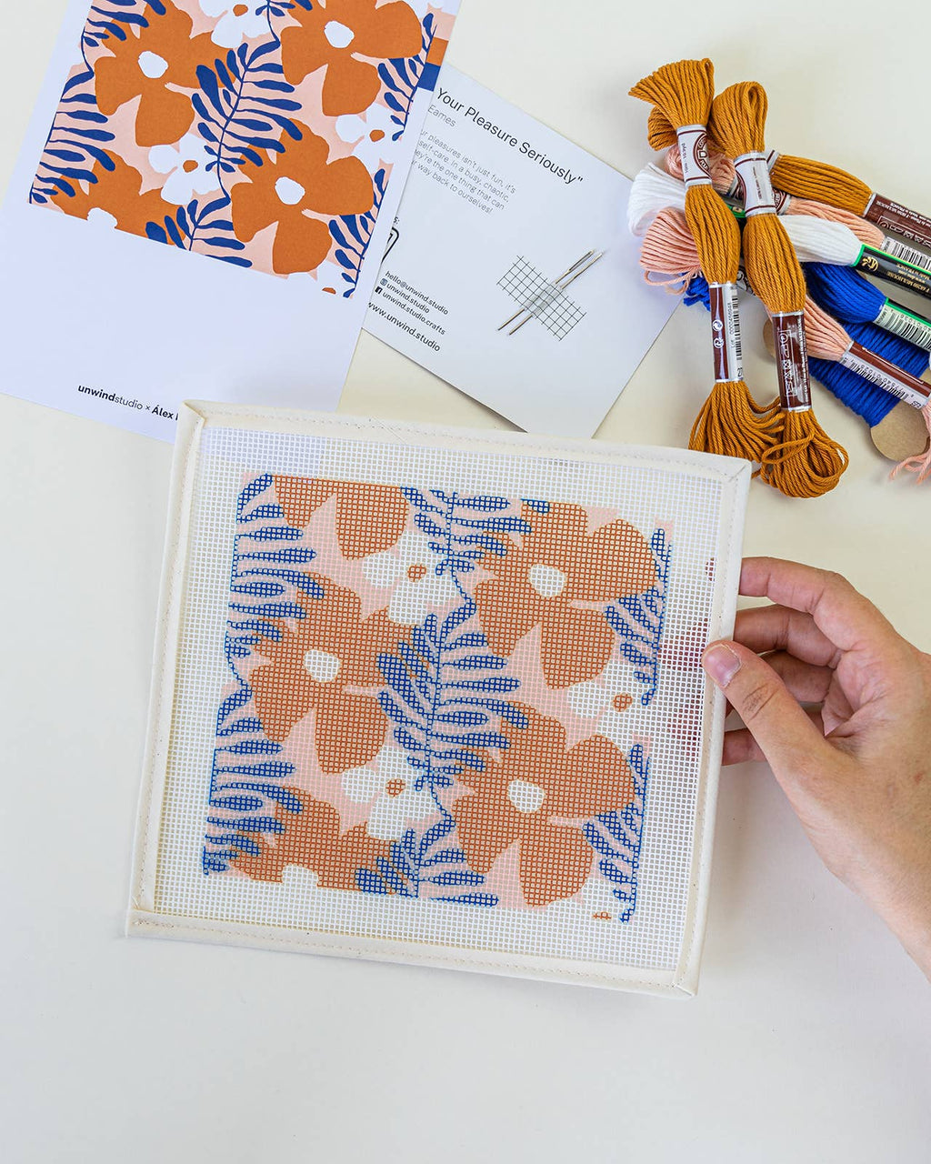 Royan Sunglasses Case Needlepoint Kit