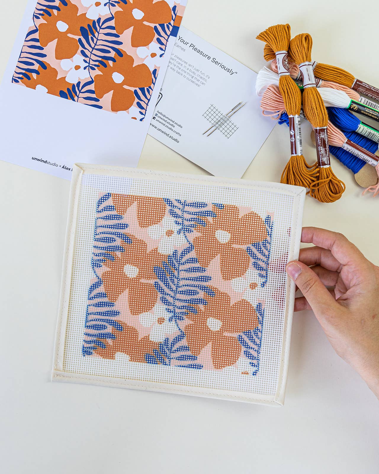 Royan Sunglasses Case Needlepoint Kit