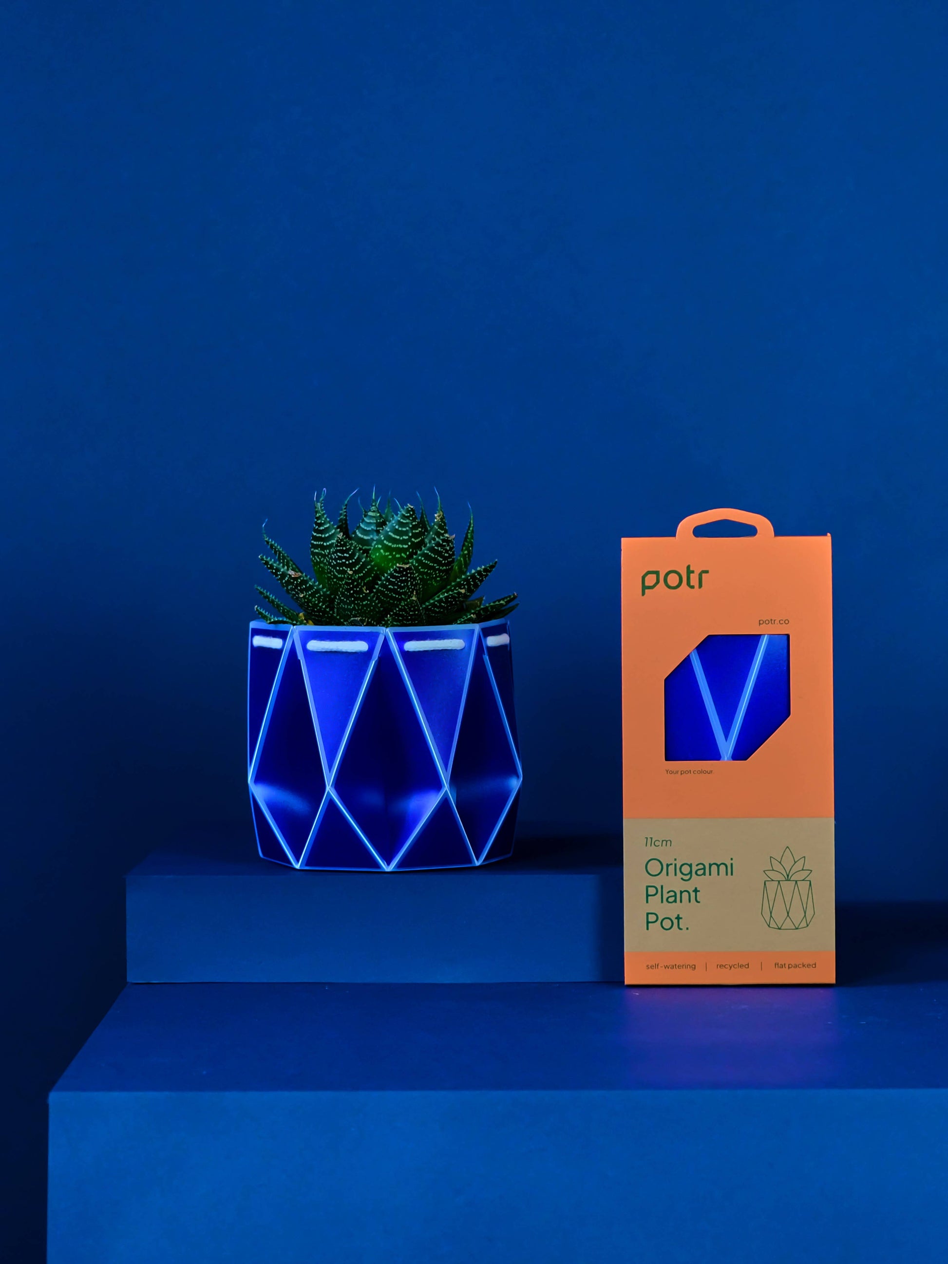 11cm Self-Watering POTR | Navy Pot