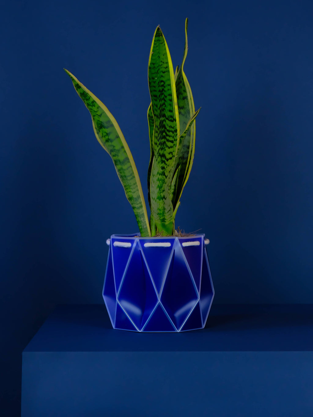 18cm Self-Watering POTR | Navy Blue