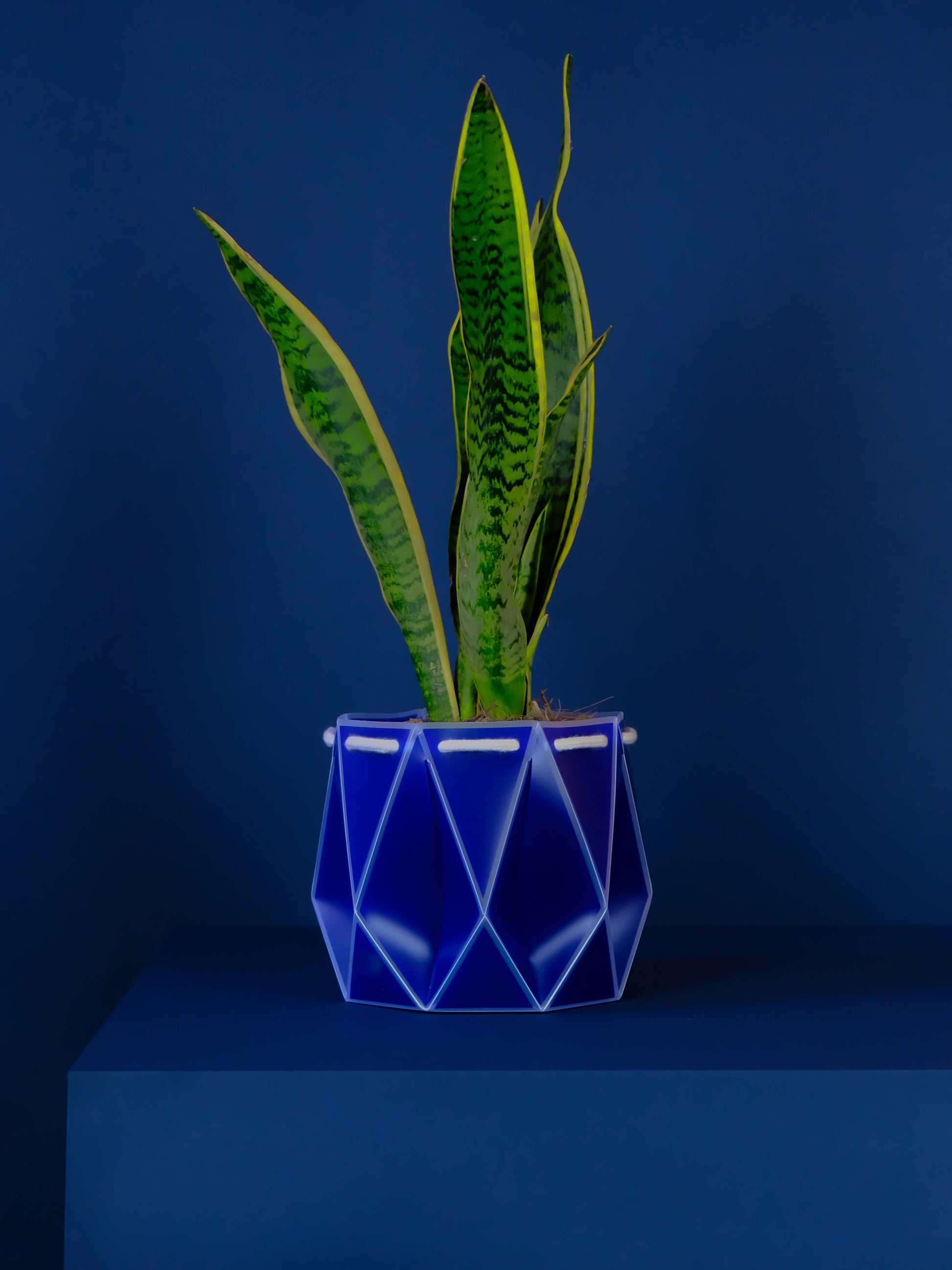 18cm Self-Watering POTR | Navy Blue