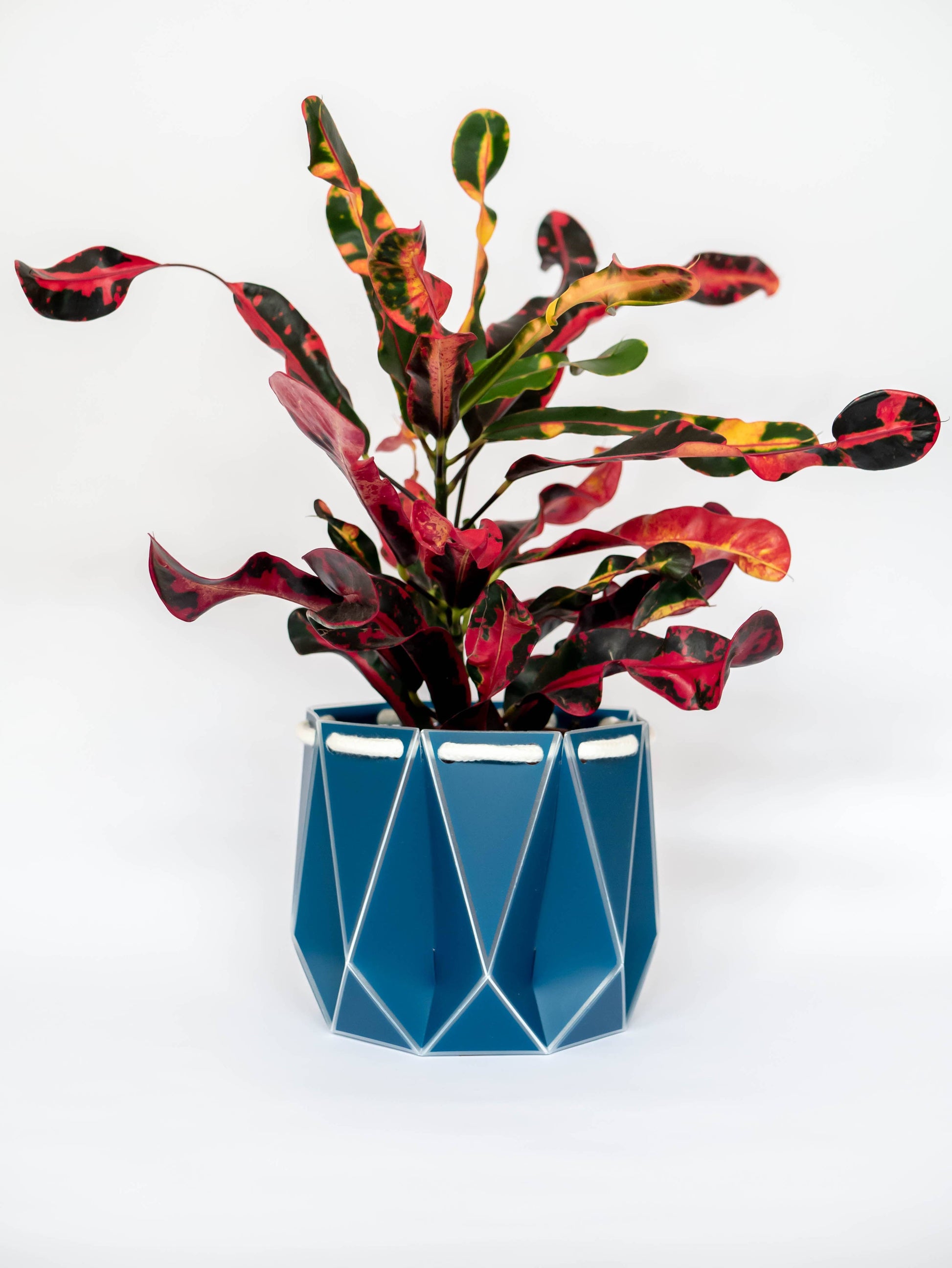 15cm Self-Watering POTR | Navy Pot