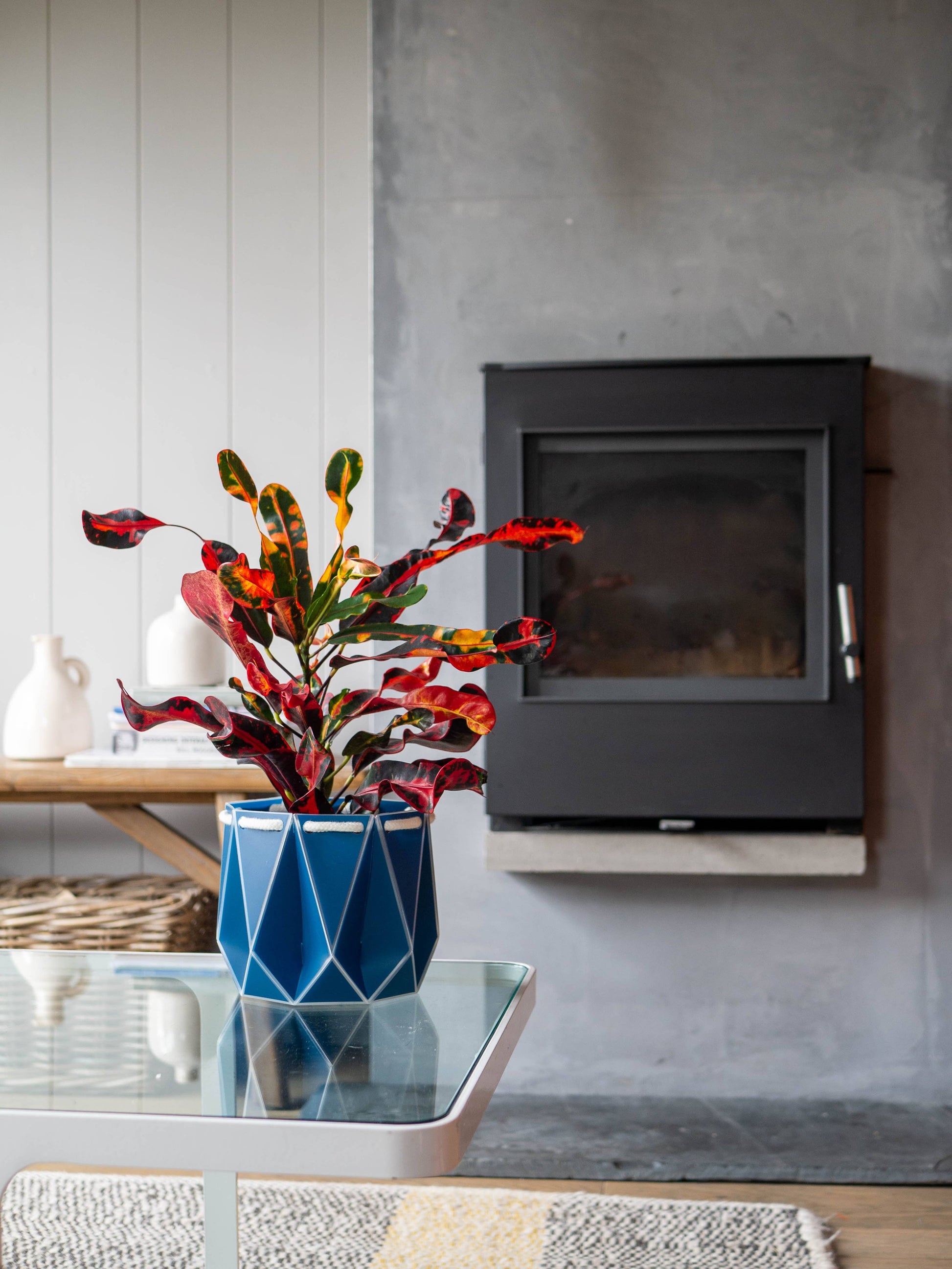 15cm Self-Watering POTR | Navy Pot