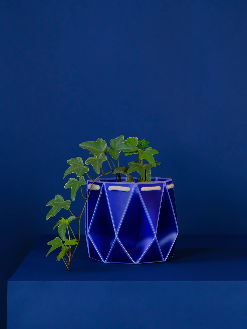 15cm Self-Watering POTR | Navy Pot