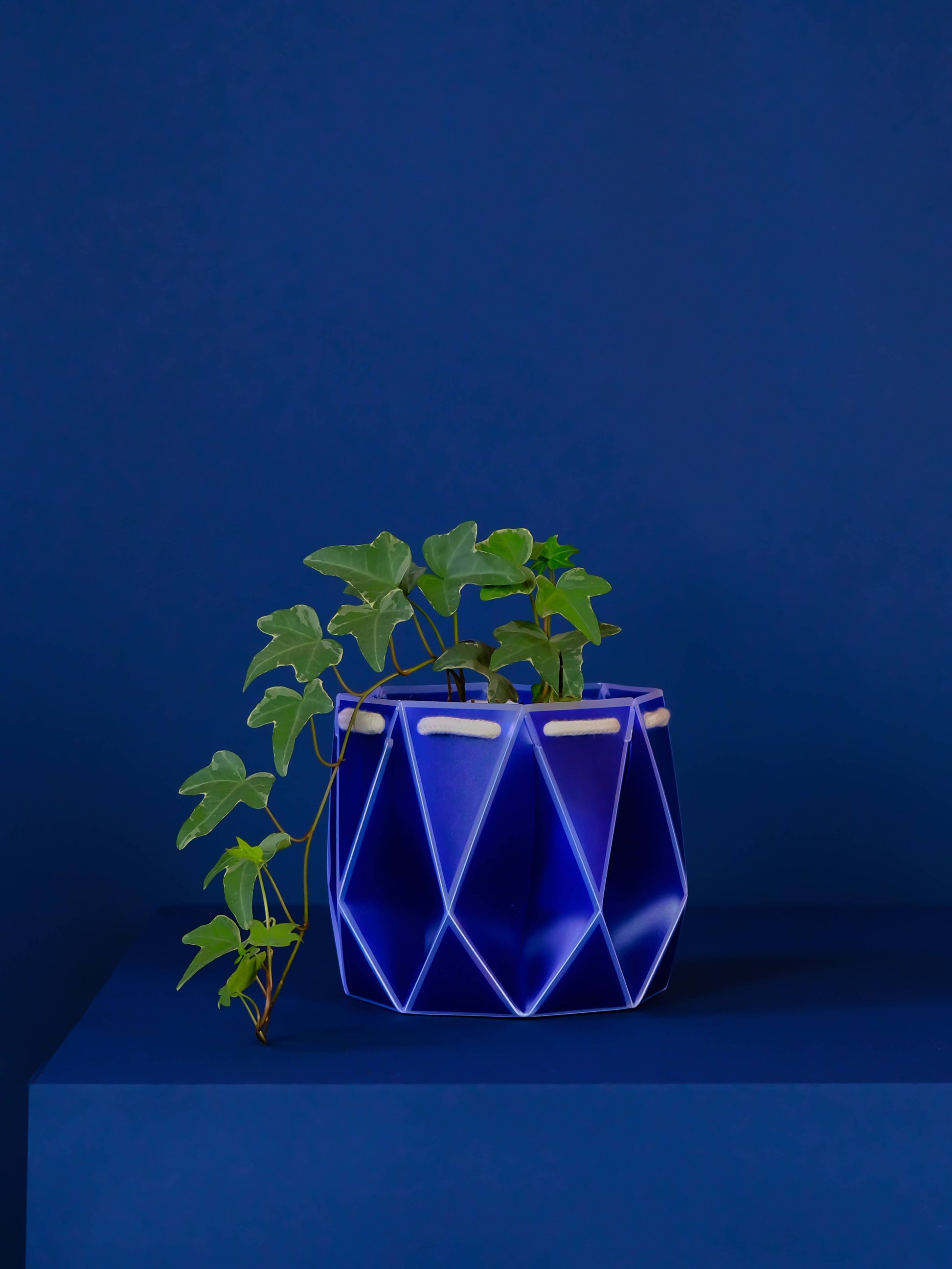 15cm Self-Watering POTR | Navy Pot