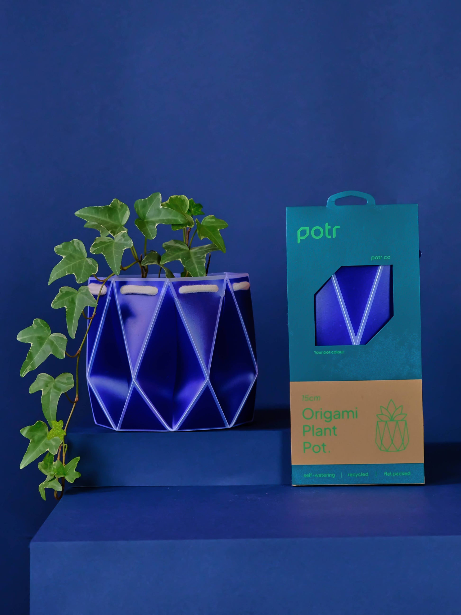 15cm Self-Watering POTR | Navy Pot