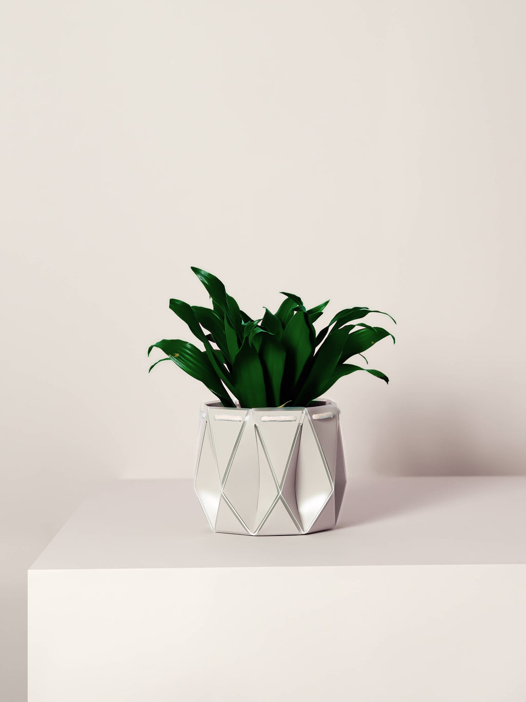 18cm Self-Watering POTR | Ivory White