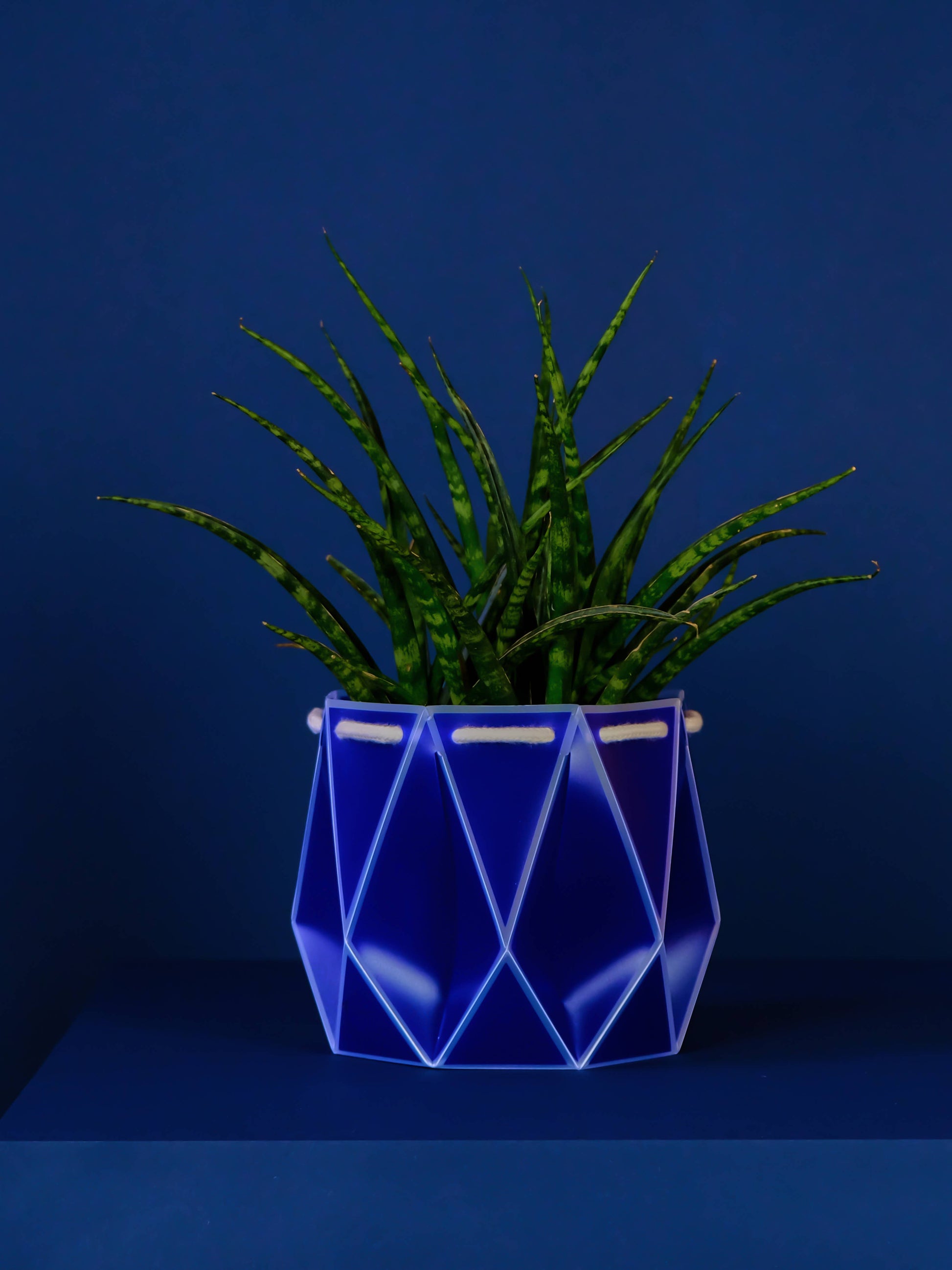18cm Self-Watering POTR | Navy Blue